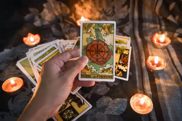 tarot cards Wixom